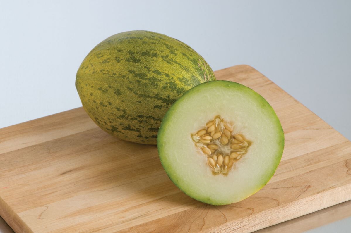 Lambkin – Melon Seed